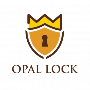 Opal Lock USB